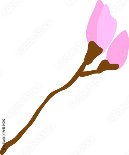 꽃봉오리01_선x_개나리꽃_진달래_목련_꽃나무_봄_봄꽃_입춘