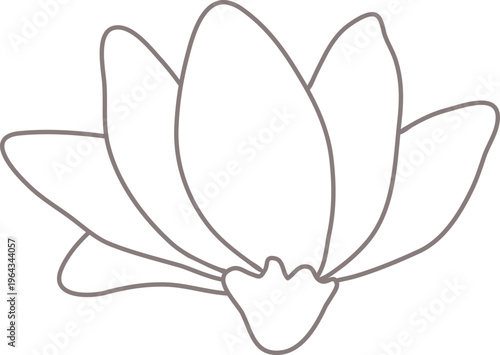 목련꽃송이01_선화_꽃나무_봄_봄꽃_입춘