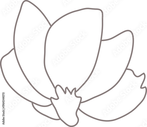 목련꽃송이01_선화_꽃나무_봄_봄꽃_입춘