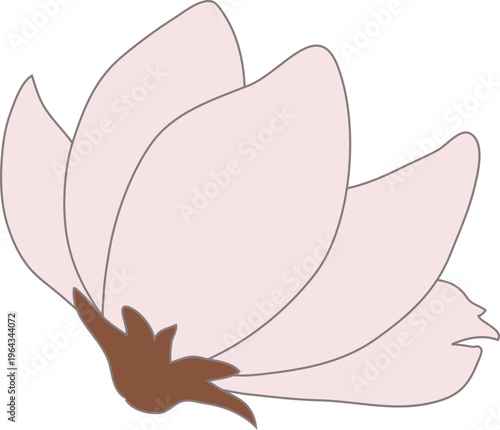 목련꽃송이02_선o_꽃나무_봄_봄꽃_입춘