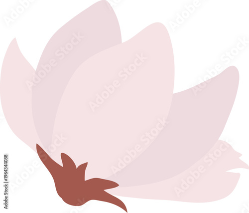 목련꽃송이03_선x_꽃나무_봄_봄꽃_입춘