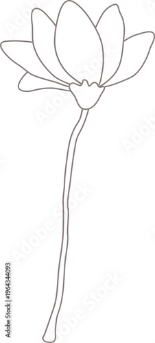 목련한송이02_선화_꽃나무_봄_봄꽃_입춘