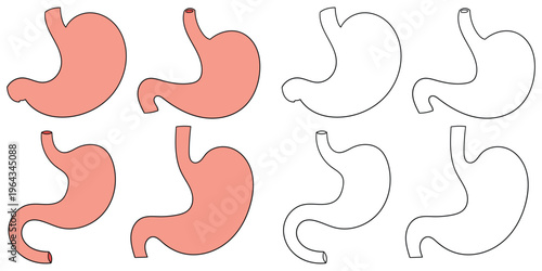 Hand-drawn cartoon and doodle set of human stomachs on a white background.
