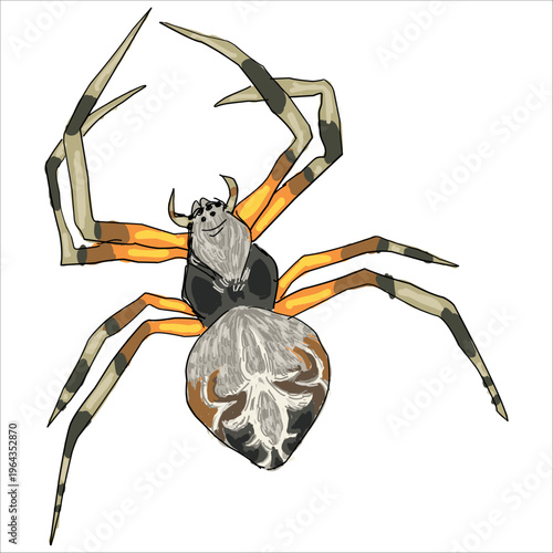Illustration of a spider with unique pattern. Metepeira incrassata. Colorful, hand-drawn, vector illustration. Picturesque. Unique detailed stylization. Print on sketchbooks, stickers, postcards
