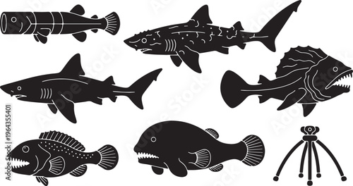 Bizarre and Unique Deep-Sea Fish Black Silhouettes