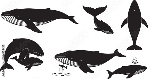 Black Solid Blue Whale Poses Silhouettes Set of Six