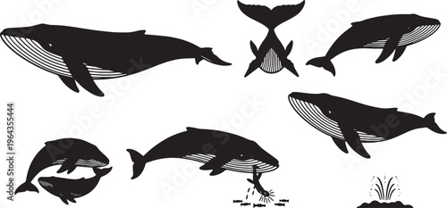 Black Solid Blue Whale Poses Silhouettes Set of Six
