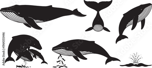 Black Solid Blue Whale Poses Silhouettes Set of Six