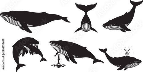 Black Solid Blue Whale Poses Silhouettes Set of Six