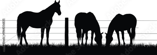 Peaceful rural farm scene with three horses grazing behind wire fence in grassy field black silhouette illustration