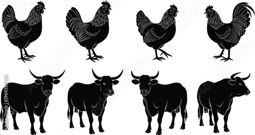 Silhouette farm animals collection with chickens and bulls in various poses, agricultural livestock vector illustration for design