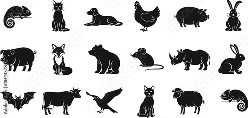 Photography Silhouettes of diverse animals in grid layout, vector illustration set for wildl
