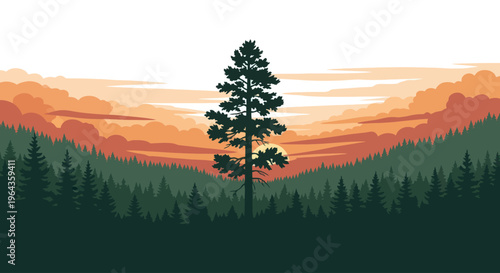 Tree Silhouette Against Orange Sunset.