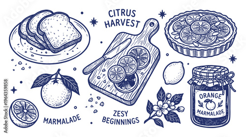 Citrus harvest drawing with marmalade jar, tart, sliced orange, lemon, toast, and cutting board, hand-drawn style