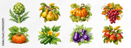 Set of botanical harvest elements with artichoke, pumpkins, grapes, pears, zucchini, eggplants and apples, richly painted garden produce collection in detailed natural style. Vector