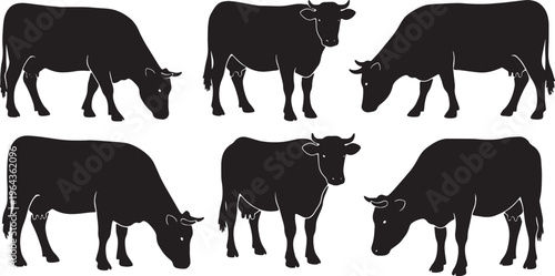Black Solid Autumn Cow Silhouettes Set of Six on White Background