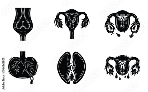 Female reproductive system stages vector illustration diagram in detail, includes breasts, uterus, ovary, and menstruation.
