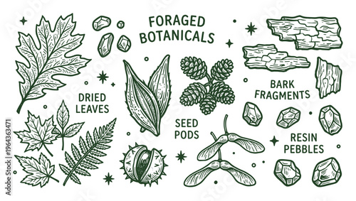 Foraged Botanicals Illustration: Dried Leaves, Seed Pods, Bark Fragments, and Resin Pebbles