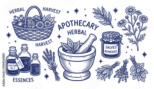 Herbal apothecary elements vector illustration. Basket, mortar, pestle, tincture bottles, salves, lavender, and flowers.