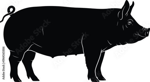 Black silhouette pig sow profile with curled tail, farm livestock animal illustration for agriculture, education, and design use