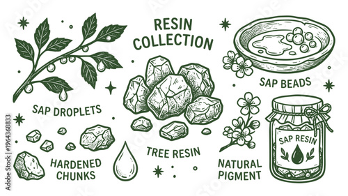 Resin collection vector illustration with sap droplets, hardened chunks, tree resin, natural pigment, and sap beads design