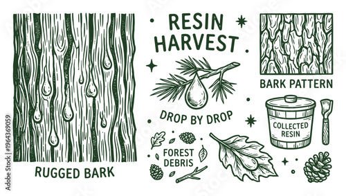 Resin harvest vector illustration with rugged bark, patterns, forest debris and collected resin container with brush