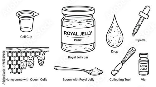 Royal jelly collection diagram: Cell cup, honeycomb, jar, pipette, drop, spoon, collecting tool and vial.