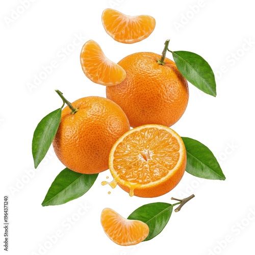 Fresh Whole and Sliced Oranges with Green Leaves