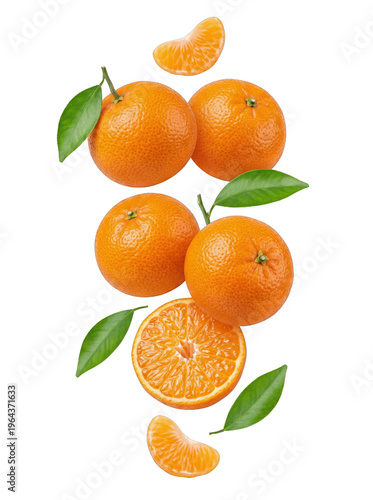 Group of Fresh Oranges and Slices with Leaves