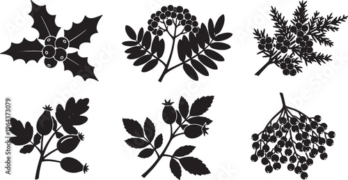 Black Solid Autumn Berry and Branch Silhouette Assortment