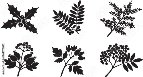 Black Solid Autumn Berry and Branch Silhouette Assortment