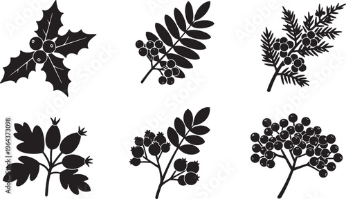 Black Solid Autumn Berry and Branch Silhouette Assortment