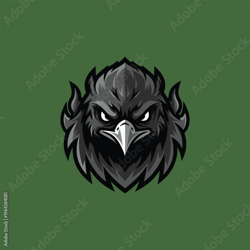Eagle Bird Head Illustration Closeup.