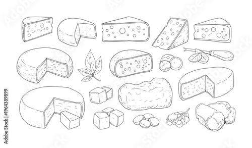 Assorted cheese wedges and wheels with nuts and leaves