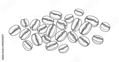 Hand drawn of scattered coffee beans with texture food drink beverage