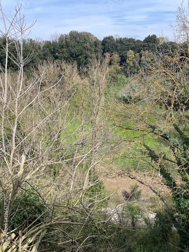 joshua tree national park