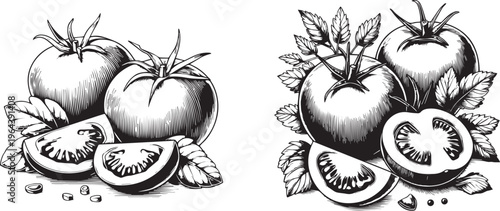 Tomato set outline sketch vector illustration