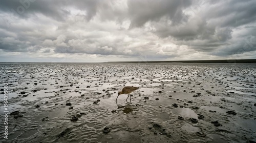A Wadden Sea mudflat at the moment of low tide, the mud surface reflecting the sky in its many small pools, lugworm casts dotting the surface regularly, a curlew probing with its down-curved bill, the
