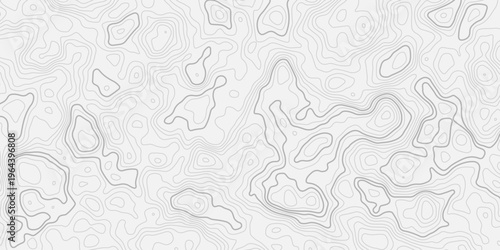 Highly Detailed Geographic Relief Texture with Fine Topo Contour Lines and Natural Terrain Representation
Seamless Abstract Map Pattern on Minimal White Background for Professional Design Projects