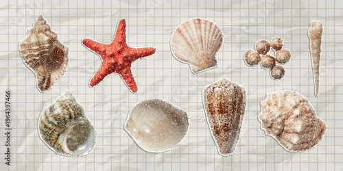 Trendy paper cutout collage marine elements with stipple effect. Clippings seashell.  Halftone style stickers for modern collage template.