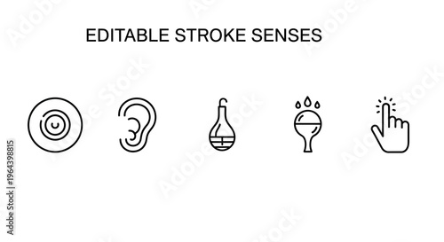 Editable stroke senses icons set.