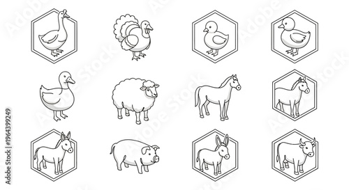 Farm Animals Line Drawings Collection.