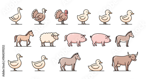 Farm animals standing in rows.