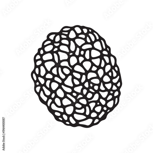Abstract truffle illustration a stylized black and white line art design representing a gourmet fungus perfect for culinary themes and food blogs