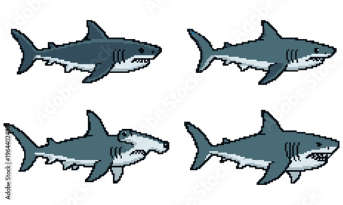 Four gray sharks swimming in different directions in the ocean water