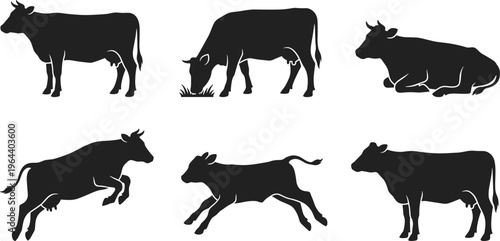 Collection of various cow and calf silhouettes featuring poses of grazing standing jumping and running livestock for farm life dairy industry agriculture