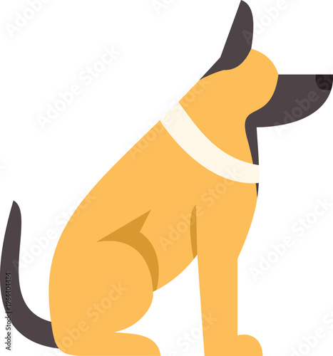 Sitting domestic canine with a collar, isolated on a white background