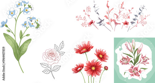 Floral bouquet collection forget me not rose cosmos and lily flowers flat vector illustration