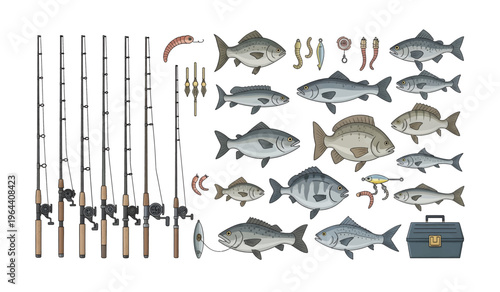 Collection of Fishing rods and tackle with fish.