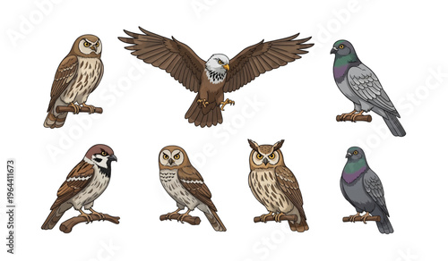 Collection of Various Bird Species Together.